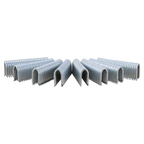 FS9G150 9-Gauge 1-1/2" Glue Collated Fencing Staples (1000 Count)